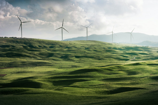 Σε διαβούλευση πρόταση του WWF για τη χωροταξία των ανανεώσιμων πηγών ενέργειας
