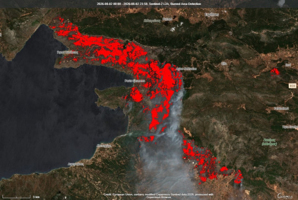 ΕΕΠΦ:Η φύση ξανά αντιμέτωπη με τις συνέπειες των πυρκαγιών
