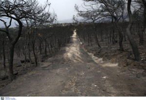 Σχέδιο νόμου για την κύρωση της Πράξης Νομοθετικού Περιεχομένου για τις άμεσες παρεμβάσεις αποκατάστασης της περιοχής στο Μάτι