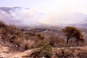 ΥΠΕΝ: Μετά την καταστολή των πυρκαγιών η αποτίμηση της συνολικά καμένης έκτασης