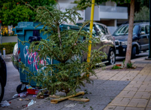 Ο Δήμος Παλαιού Φαλήρου συνεχίζει τη δράση ανακύκλωσης των φυσικών Xριστουγεννιάτικων δέντρων