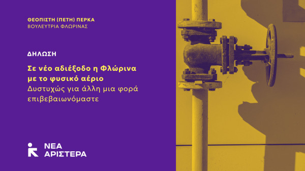 Πέτη Πέρκα: Σε νέο αδιέξοδο η Φλώρινα με το φυσικό αέριο