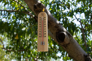 Καύσωνας στην Ευρώπη: Περισσότεροι από 90 εκατ. άνθρωποι αντιμέτωποι με θερμοκρασίες άνω των 35 βαθμούς Κελσίου