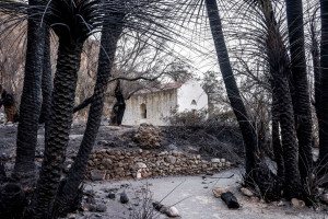 Ο ΔΕΔΔΗΕ σχετικά με δημόσιες αναφορές για τα αίτια εκδήλωσης πυρκαγιών
