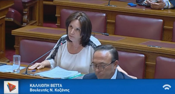 Κ. Βέττα: Αποδείχθηκε και σήμερα ότι δεν υπάρχει σχέδιο για την επόμενη ημέρα στη Δυτική Μακεδονία - βίντεο