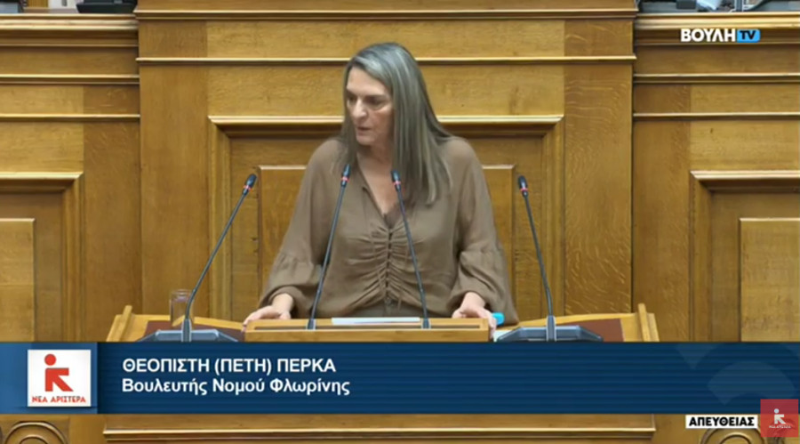 Πέτη Πέρκα: Έλλειψη οράματος και σχεδιασμού στο νομοσχέδιο για το υδρογόνο και το βιομεθάνιο