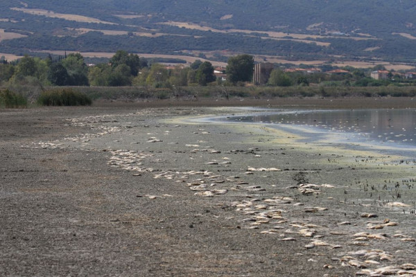 Κίνδυνο νέας οικολογικής καταστροφής στη λίμνη Κορώνεια βλέπει η Κομισιόν