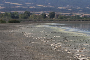 Κίνδυνο νέας οικολογικής καταστροφής στη λίμνη Κορώνεια βλέπει η Κομισιόν