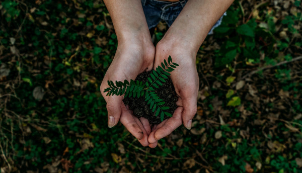 GreenTank: Σχόλια και προτάσεις επί του σχεδίου νόμου του ΥΠΕΝ - Αναγκαίες οι τροποποιήσεις