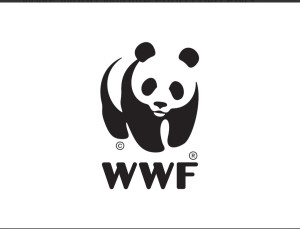 WWF: Με την προστασία των παραλιών μας δεν αστειευόμαστε!