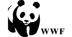 WWF για την Παγκόσμια Ημέρα Περιβάλλοντος 2020: «Κάνουμε όλοι μαζί μια ευχή να κρατήσουμε τον πλανήτη μας ζωντανό»