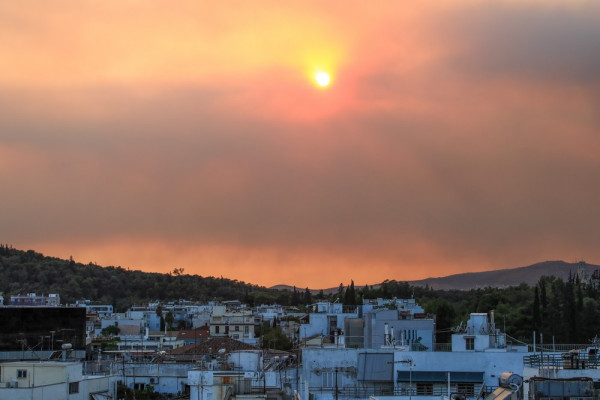 Γιάννης Τριήρης: Σε κάθε περίπτωση εγκληματικά ανίκανοι