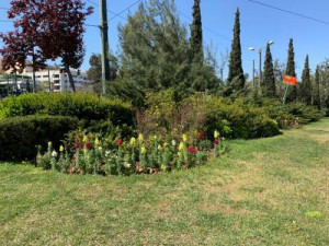 Δήμος Αθηναίων: 8.500 νέα φυτά στην πόλη από τις αρχές Μαρτίου - Κώστας Μπακογιάννης: Σήμερα, περισσότερο από ποτέ, έχουμε ανάγκη για χρώμα και φως στην Αθήνα