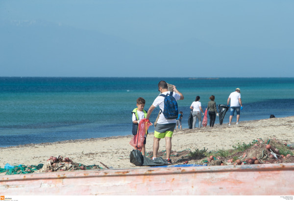 Κοινή καμπάνια WWF Ελλάς και Impact Hub Athens για καθαρότερες ακτές!