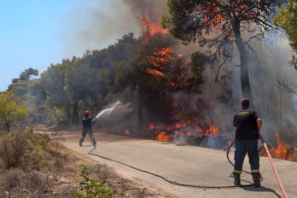Ελεύθεροι με εισαγγελική εντολή οι δύο υπάλληλοι του ΔΕΔΔΗΕ για τη φωτιά στην Κερατέα