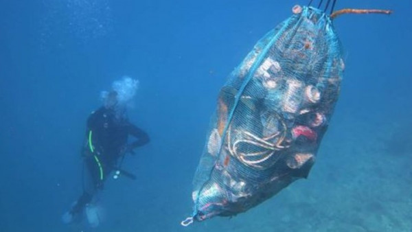 Περισσότερα από 500 κιλά απορρίμματα ανασύρθηκαν από τον βυθό και την παραλία της Ελευσίνας, σε εθελοντική δράση