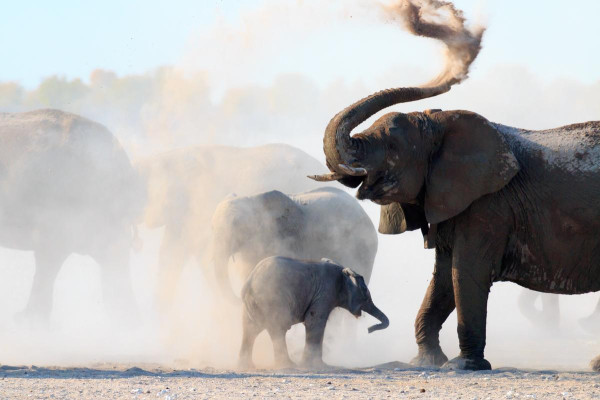 Έκθεση WWF Ζωντανός Πλανήτης 2026