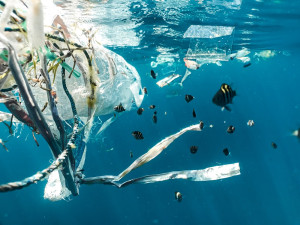 Τήλος: Πρώτο πιστοποιημένο zero waste νησί παγκοσμίως