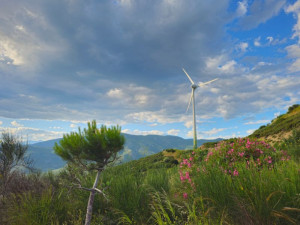 Θέσεις και απόψεις της ΕΛΕΤΑΕΝ για το Ειδικό Χωροταξικό Πλαίσιο των ΑΠΕ
