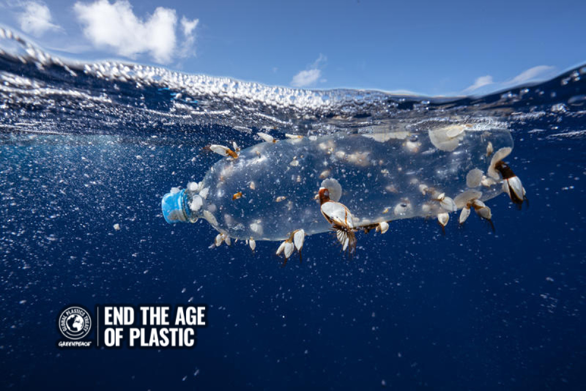 Greenpeace: Πάμε να βάλουμε τέλος στην εποχή του πλαστικού