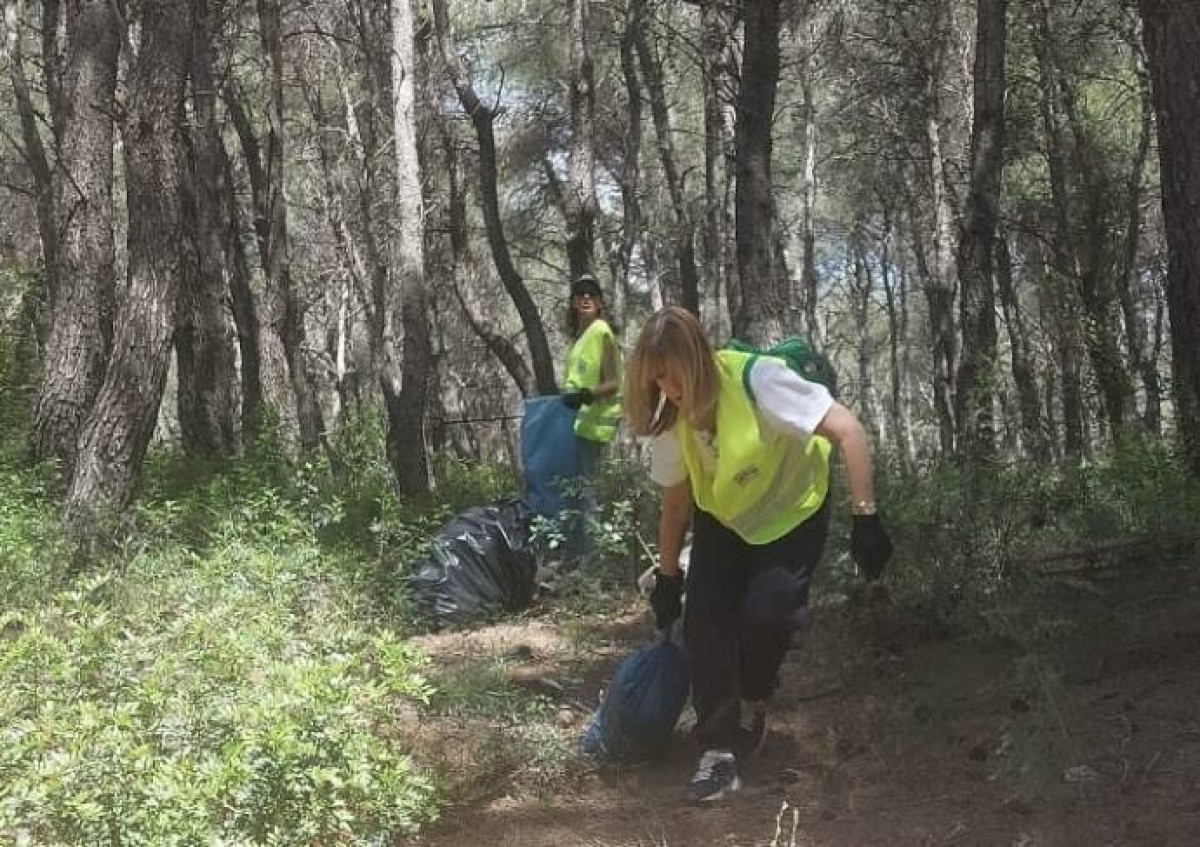 Καθαρισμός του δάσους Φασίδερη στην Κηφισιά από τους εργαζόμενους του Ομίλου ΑΒΑΞ