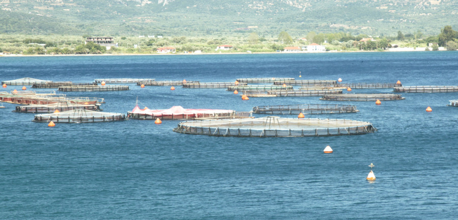 Ενημερωτικό Σημείωμα του ΥΠΕΝ για τις Περιοχές Οργανωμένης Ανάπτυξης Υδατοκαλλιεργειών