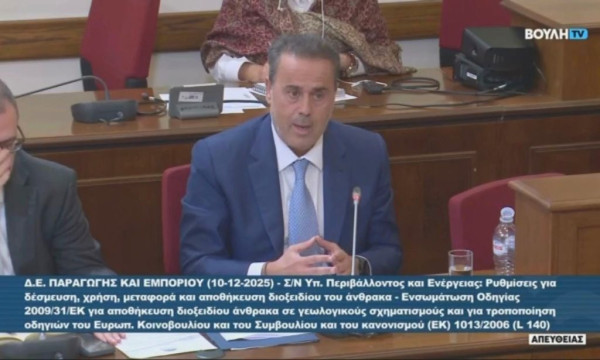 Παπασταύρου: Το CCS συμβάλλει στην απανθρακοποίηση της βιομηχανίας, χωρίς μείωση της ανταγωνιστικότητας