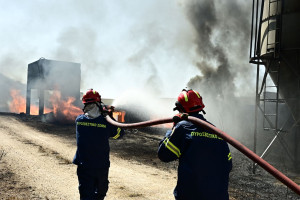 Σε σπινθήρες από καλώδια του ΔΕΔΗΕΕ αποδίδεται η πυρκαγιά στον Κουβαρά