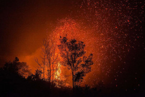 Πυρκαγιές Αύγουστος 2021: Μύθοι και αλήθειες