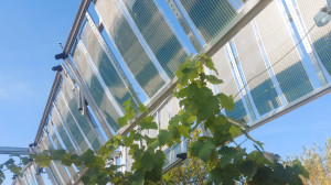 Flex2Energy &amp; COPE-Nano Center of Excellence παρουσιάζουν την ηγετική θέση της Ευρώπης στην πράσινη βιομηχανία στο πλαίσιο του LOPEC 2026