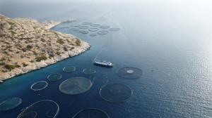 Πρωτοπόρος η Philosofish στη χρήση Ανανεώσιμων Πηγών Ενέργειας σε όλη τη Μεσόγειο