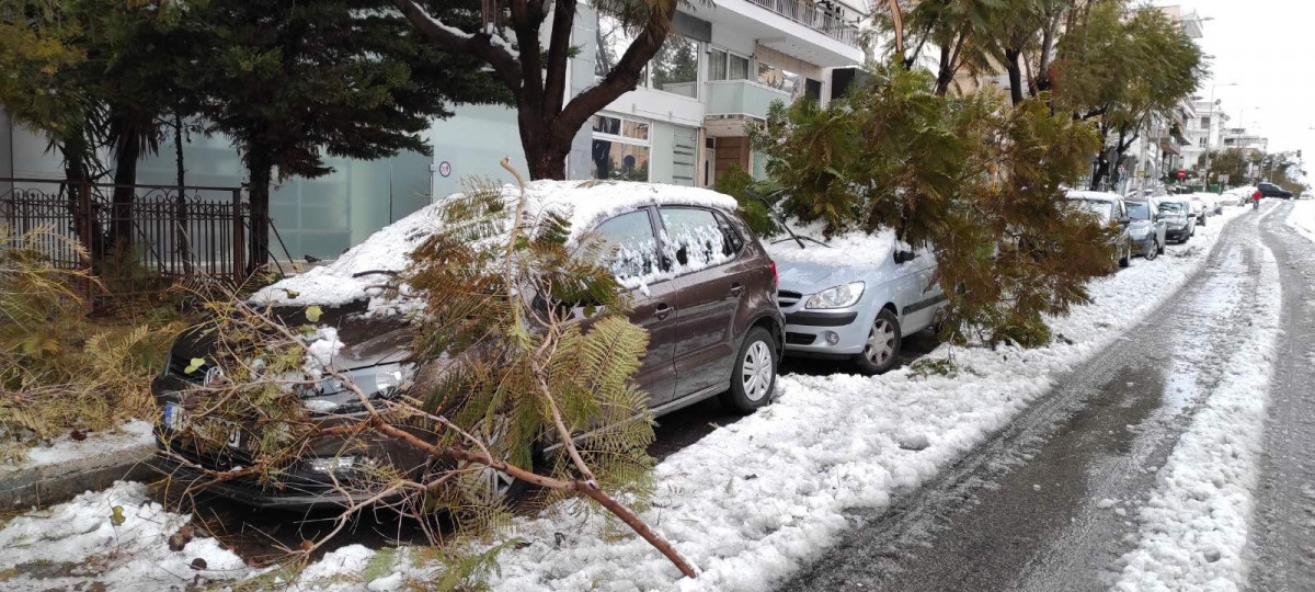 11 συνεργεία υλοτόμων για την απόληψη πεσμένων δένδρων στις περιοχές που σημειώνονται τα μεγαλύτερα προβλήματα