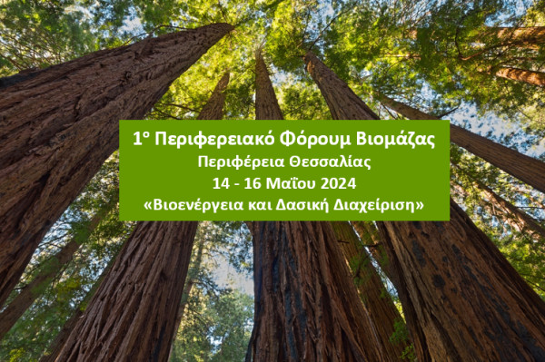 BIOMASS REGIONAL FORUM 2024: 1ο Περιφερειακό Φόρουμ Βιομάζας «Βιοενέργεια &amp; Βιώσιμη Δασική Διαχείριση»