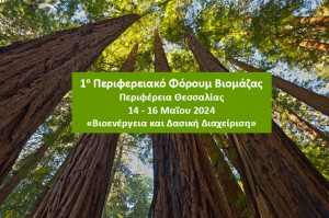BIOMASS REGIONAL FORUM 2024: 1ο Περιφερειακό Φόρουμ Βιομάζας «Βιοενέργεια &amp; Βιώσιμη Δασική Διαχείριση»