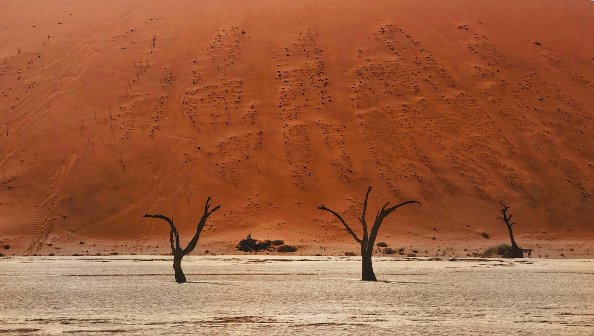 IPCC: Η τελευταία προειδοποίηση της επιστημονικής κοινότητας μας αφορά και έρχεται σε μια κρίσιμη πολιτική συγκυρία