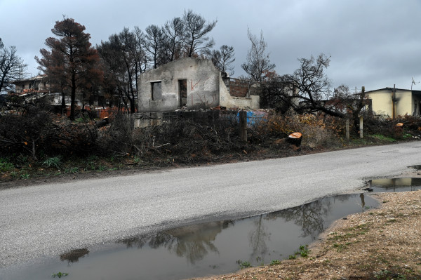 Απάντηση ΓΕΝΟΠ/ΔΕΗ στα δημοσιεύματα για την πυρκαγιά στη Βαρυμπόμπη: Όχι στη στοχοποίηση των εργαζομένων