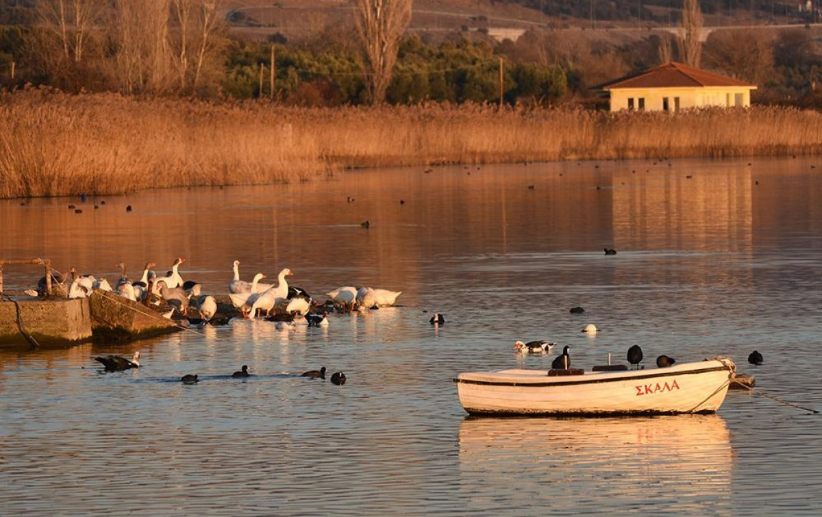 Φάμελλος: Κορώνεια-Βόλβη και Κερκίνη, τα νέα θύματα της κυβέρνησης Μητσοτάκη