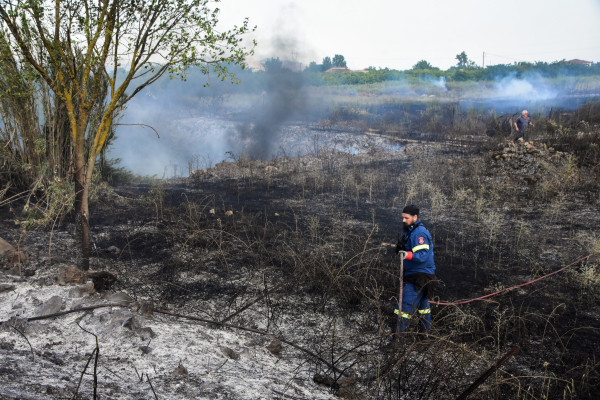 2023: Μια χρονιά καταστροφικών δασικών πυρκαγιών στον κόσμο