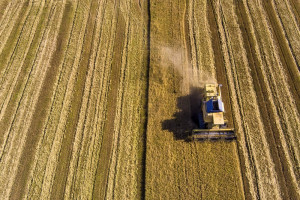 Ενεργειακό κόστος και καιρός μεγαλώνουν την ψαλίδα των τιμών από το χωράφι στο ράφι