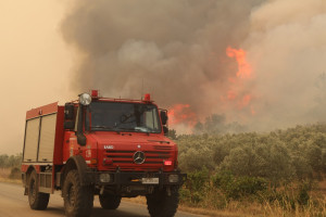 ΥΠΕΝ: Εντός της ημέρας η απόφαση απαγόρευσης κυνηγιού στον Έβρο