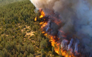 Ευφυές σύστημα έγκαιρης πυρανίχνευσης για τα δάση της εγκαθίσταται στην Αλόννησο με χρηματοδότηση από την Περιφέρεια Θεσσαλίας