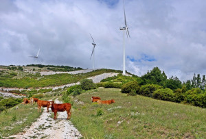 Συμμετοχή της ΕΛΕΤΑΕΝ στη διαβούλευση για τις Ειδικές Περιβαλλοντικές Μελέτες