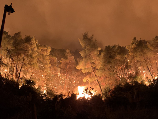 Τα «απόρρητα κονδύλια» στη Γενική Γραμματεία Πολιτικής Προστασίας και η αποτελεσματικότητα του συστήματος δασοπυροπροστασίας