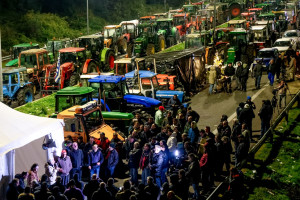 Γιάννης Τριήρης: Δεν ζητάς από αυτόν που βασανίζεις να μην βογκάει