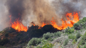Η πρόληψη θα σώσει τα δάση μας αλλά τα κονδύλια συνεχίζουν να πηγαίνουν στην καταστολή των πυρκαγιών