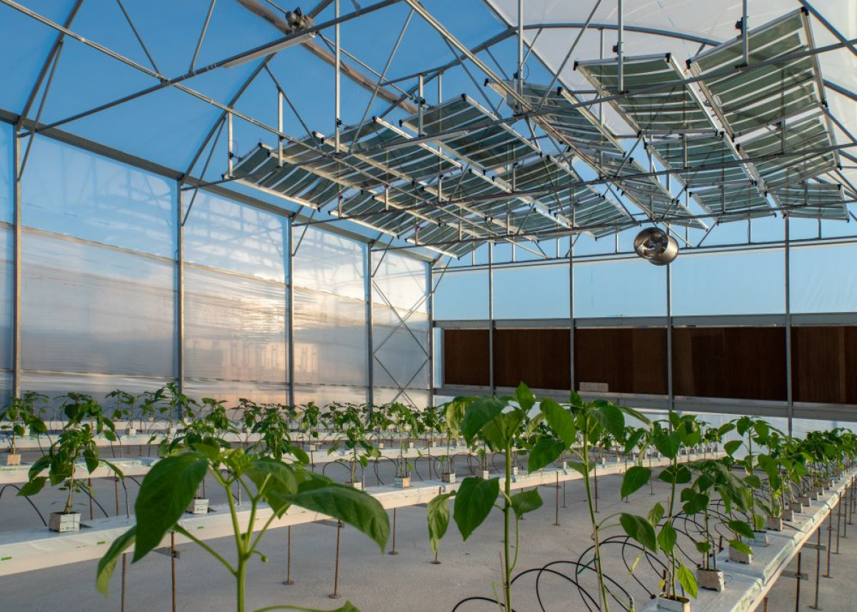 15ο ICEFPE 2025: Ενεργειακή Αυτονομία &amp; Βιωσιμότητα σε Κτίρια, Υποδομές και Καλλιέργειες - Δημιουργώντας μια Βιώσιμη Πράσινη Οικονομία