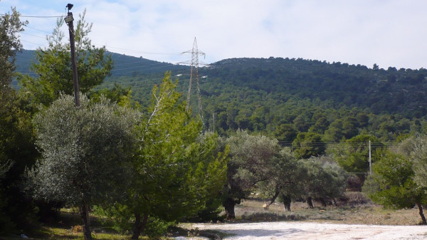 Ισχυρό πλέγμα μέτρων προστασίας για τον Υμηττό