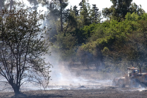 Πολύ υψηλός κίνδυνος πυρκαγιάς σήμερα