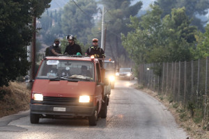 Γιάννης Τριήρης: Χωρίς υψηλές δαπάνες για δασοπυρόσβεση θα … καιγόμαστε