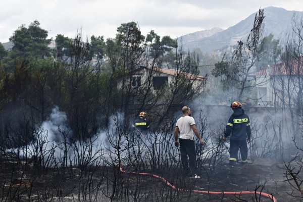 ΥΠΕΝ: Αναστέλλονται οι οικονομικές δραστηριότητες λόγω πυρκαγιάς στον Έβρο